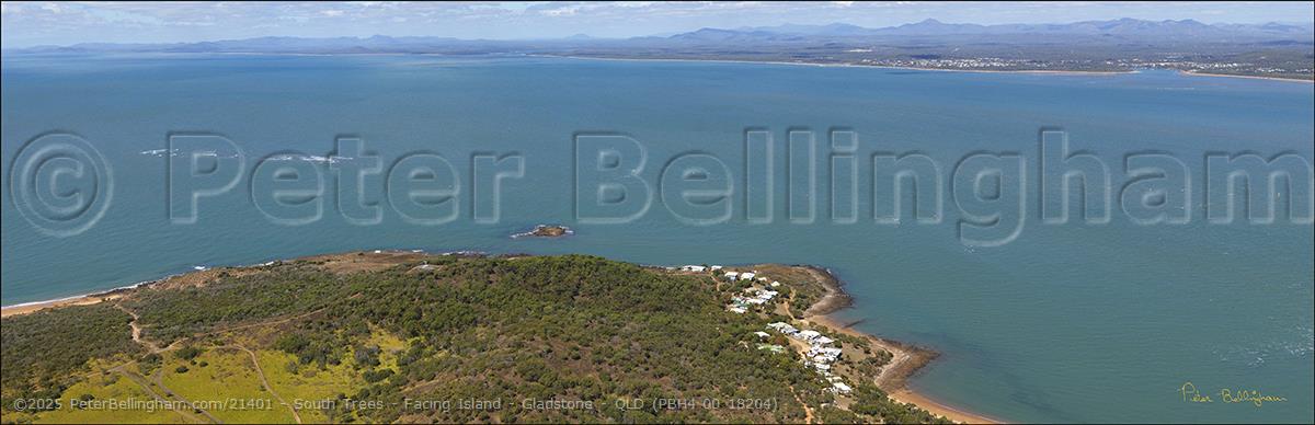 Peter Bellingham Photography South Trees - Facing Island - Gladstone - QLD (PBH4 00 18204)
